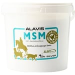 Ion Silver MSM Alavis 1000 gram