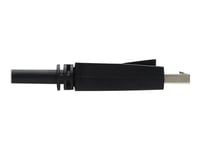 Eaton Tripp Lite Series Displayport Kvm Cable Kit For Tripp Lite B005-Dpua2-K And B005-Dpua4 Kvm, 4K Dp, Usb 3.1, 3.5 Mm, 10 Ft. - Video/Usb-/Ljudkabelsats - Usb 3.1 Gen 1 / Displayport 1.2 - 3.05 M - Stöd För 4K - Svart, Blå