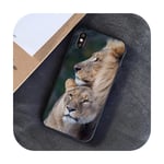 Surprise S For Iphone 11 Lion Male Lovely Design Phone Accessories Case For Iphone 8 7 6 6S Plus 5 5S Se Xr X Xs Max Coque Shell-7-For Iphone 5 5S Se