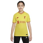Nike - liverpool 2021/22 Season Jersey Other Game Equipment, L, Unisex