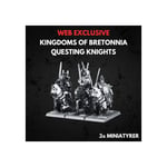 Kingdom of Bretonnia Questing Knights Warhammer The Old World