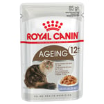 Økonomipakke: 96 x 85 g Royal Canin vådfoder - Ageing +12 i gelé
