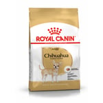 Royal Canin Chihuahua Adult hundemat