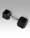 LEVITY Premium Fitness Hex Dumbbell 12.5kg