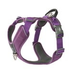 Dog Copenhagen Comfort Walk Pro Harness Purple Passion 2024 - XL