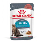 Royal Canin -suursäästöpakkaus 96 x 85 g - Urinary Care kastikkeessa