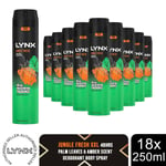 Lynx XXL Body Spray Jungle Fresh 48H High Definition Fragrance Deo 250ml, 18pack