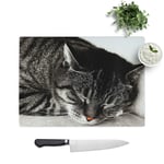 Glass Chopping Board - British Shorthair Cat 2 - Textured Worktop Saver Cutting Board - Heat Resistant, Shatterproof and Hygenic - 39 x 28.5 cm