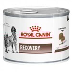 Royal Canin Recovery Hund/Katt Våtfoder Mousse Burk 195g 12 st