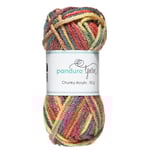 Garn Chunky Acrylic 50g dusty autumn multi