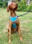 Henry Wag Dog Travel Harness Blue/Grey Large