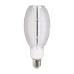 LED-lampa Oval 40W E27 - 4500lm (Färgtemperatur: 6400K)