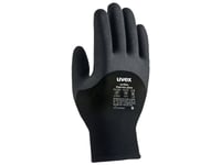 Uvex Unilite Thermo Plus, Svart, Grå, Vuxen, Vuxen, Unisex, Nötningshärdig, Kyltålig, 1 Styck