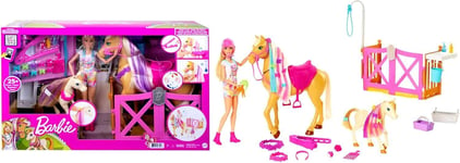 Barbie Groom n Care Horses Playset with Barbie Doll Blonde 11.5-in, 2 Horses  20