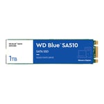 WD Blue SA510 1TB M.2 SATA SSD/Solid State Drive