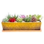 Grands Pots de Plantes succulentes avec Drainage, Pot de bonsaï rectangulaire de 30,5 cm de Long avec Plateau Peu Profond en céramique Cactus Fleur Plante fenêtre pour Jardin à la Maison