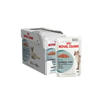 Royal Canin Hairball Care Cat Food,12x85 g