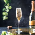Luminarc Set om 6 champagne glas Celeste Golden Chameleon 160 ml LUMINARC