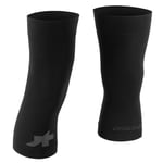 Assos Spring Fall Knee Warmers Knävärmare M