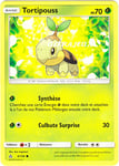 Pokémon - 6/156 - Tortipouss - Sl5 - Soleil Et Lune - Ultra Prisme - Commune