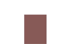 L’Oreal Paris Color Riche Nail Polish W 5Ml Cp6 Freida´S Nude