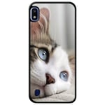 Samsung Galaxy A10 Mobilskal Cat With Beautiful Blue Eyes