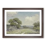 Big Box Art Morning in The Live Oaks by Julian Onderdonk Framed Wall Art Picture Print Ready to Hang, Walnut A2 (62 x 45 cm)