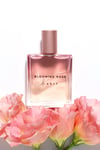 Blooming Rose Hair Perfume