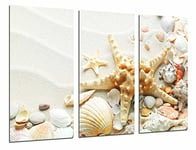 Tableau Moderne Photographique, Impression sur bois, Plage de sable avec étoile de mer, conque de coquillages, salle de bains, 97 x 62 cm, ref. 26994
