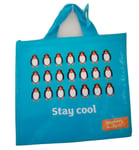 SAINSBURYS EXTRA LARGE COOLING COOLER COOL BAG BOX PICNIC CAMPING FOOD ICE LUNCH