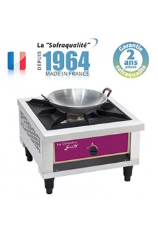 INTEC Réchaud à Gaz 2 Feux Barbecue Grill 9kW 2en1 : 2 Brûleurs Fonte