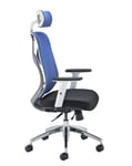 Office Hippo Ergonomic Office Chair Adjustable Arms, Mesh Office Chair Lumbar Support, Reclining, High Back, Blue