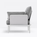Lounge-tuoli Pedrali Light grey D100/beige D1001