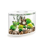 biOrb LOOP 15 LED Aquarium, 15 litres, blanc - Kit complet d'aquariums avec système de filtration breveté, cuve en acrylique