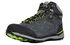Regatta Chaussures Techniques-Samaris Suede, Hiking Boot Homme,Marron(Briar/Lime Green)39 EU