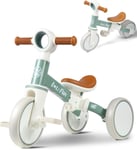 LOL-FUN Toddler Balance Bike 1 2 Years Old 4IN1 Baby Bicycle 1 to 4 Years