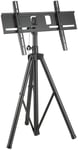 Allcam TR941 Portable Tripod Stand with Vesa Mounting Bracket Universal for 32-55 inch LCD/LED Plasma TV, Tilt up/down 20°, Freely Pan 360°, Max Height 180 cm, Up to Vesa 600 x 400