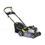 Murray Petrol Lawnmower 2-in-1 Push - Compact Lawn Mower "EQ2-300" 42cm with Grass Box 45L for Small and Medium Lawns - Ergonomic Handle Bar, Dust Shield