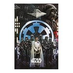 Star Wars Rogue One Empire Maxi Poster, multicolour