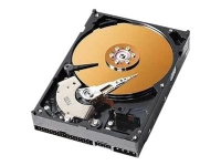 CoreParts - Hårddisk - 40 GB - intern - 3,5 - IDE - 7200 rpm - istandsat - för Acer Acer AcerPower F1, F1b, F1c