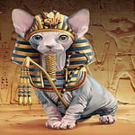RUGST Paint by Numbers DIY Oil Painting kit Egyptian Puppy 40x50cm Modern Pop Hand Digital Painting oil Tablet Adults and Kids Beginner Gift Kits Pre-Printed Canvas Colorful Wall Art Home Decor T5832