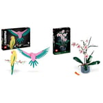 LEGO Art La Collection Faune – Les Perroquets Ara, Décoration Murale de Motif d'Oiseau & 10311 Icons L’Orchidée Plantes avec Fleurs Artificielles d'Intérieur pour Décoration de Maison