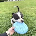 Solid freesbee til hund i TPR gummi 23cm