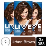 3pk Schwarzkopf Live Intense Colour Permanent or Semi-Permanent Hair Dye