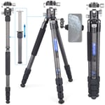 ARTCISE Carbon Fiber Tripod Travel Tripod with 35MM Low Profile Ball Head and Two 1/4 inch Quick Shoe Plate for DSLR Camera,Video Camcorder, Max Load 44 lbs/20kg, Maximum height: 63.8inch
