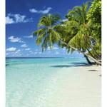 Dimex Tapet Paradise Beach 225x250 cm MS-3-0215
