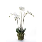 Emerald Konstväxt orkidé med mossa vit 90 cm 20.355 414484