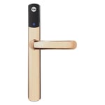 YALE Conexis L1 British Standard Smart Door Lock - No Module - Polished Brass