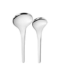 Bloom Servering Spoons 2 Pcs