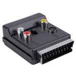 2X(Newest Switchable Scart Male to Female S-Video 3 RCA Audio Adapter